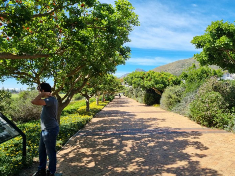 Walking through Green Point Park
