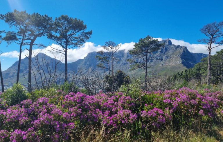 Table Mountain viewed from Signal Hill