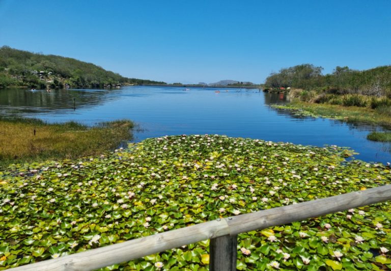 silvermine nature reserve