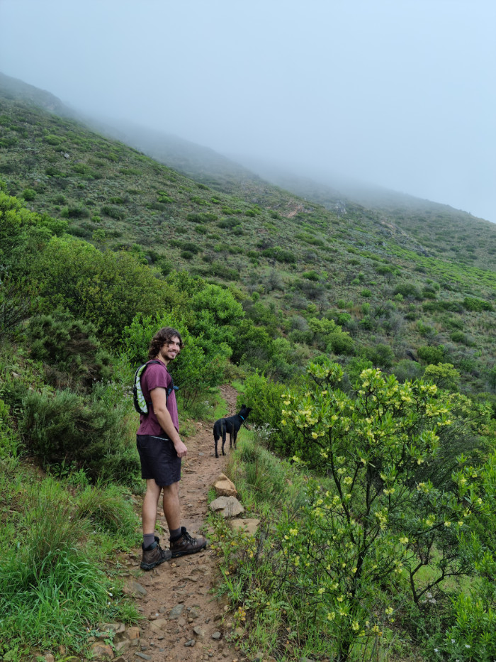 hiking with your dog