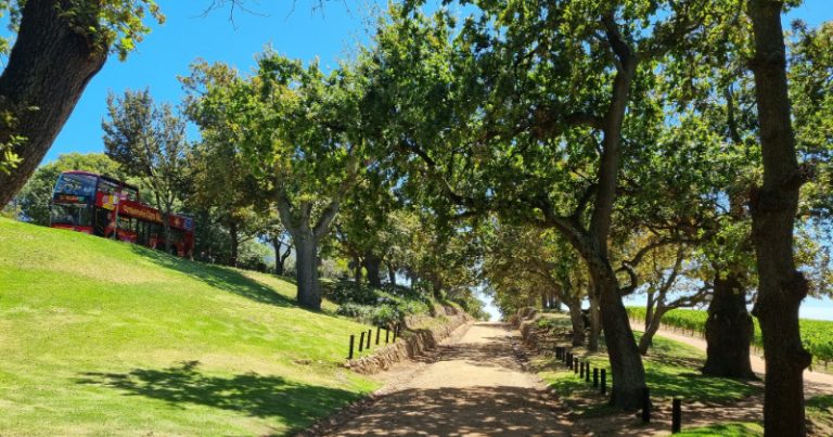 red bus tour wine stop