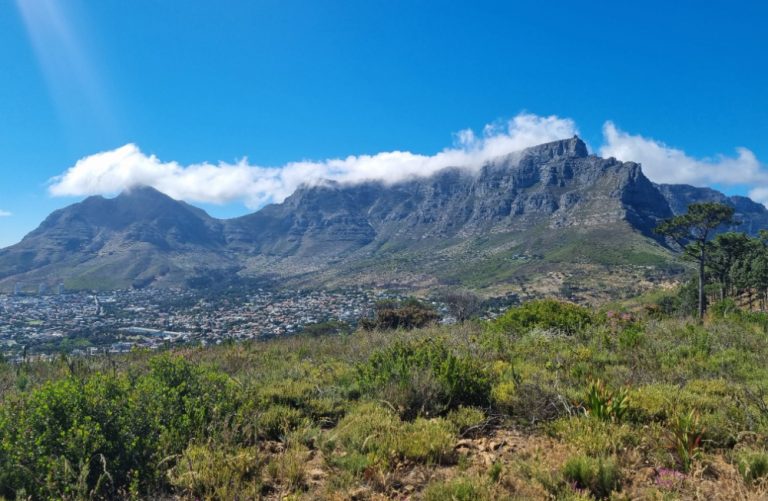 table mountain view