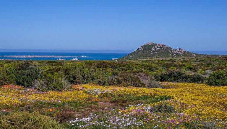 West Coast National Park
