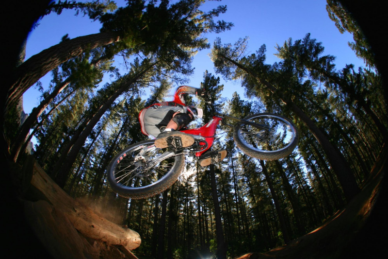 tokai forest mtb trail