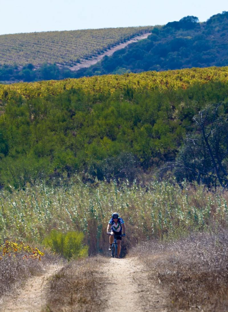 bottelary hills mtb trail stellenbosch