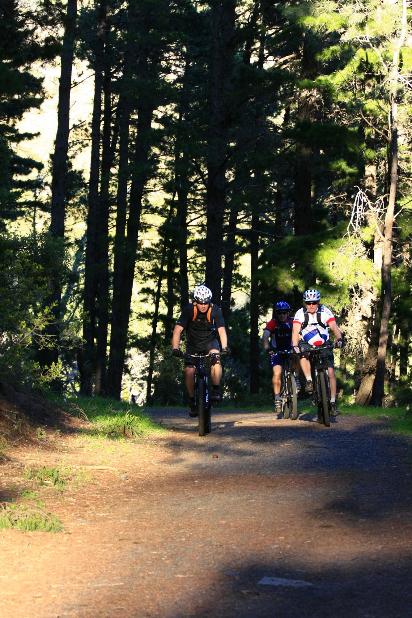 deer park mtb route, table mountain