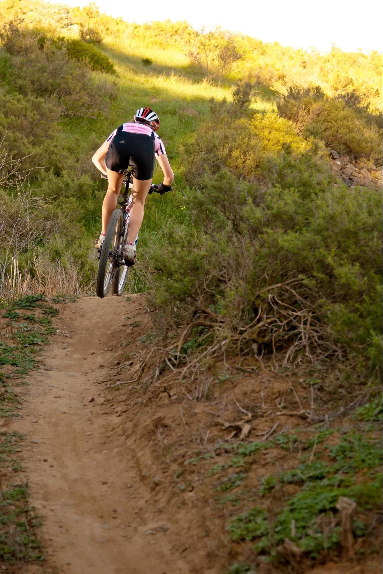 Majik Forest mtb route