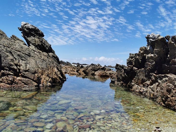 exploring cape agulhus