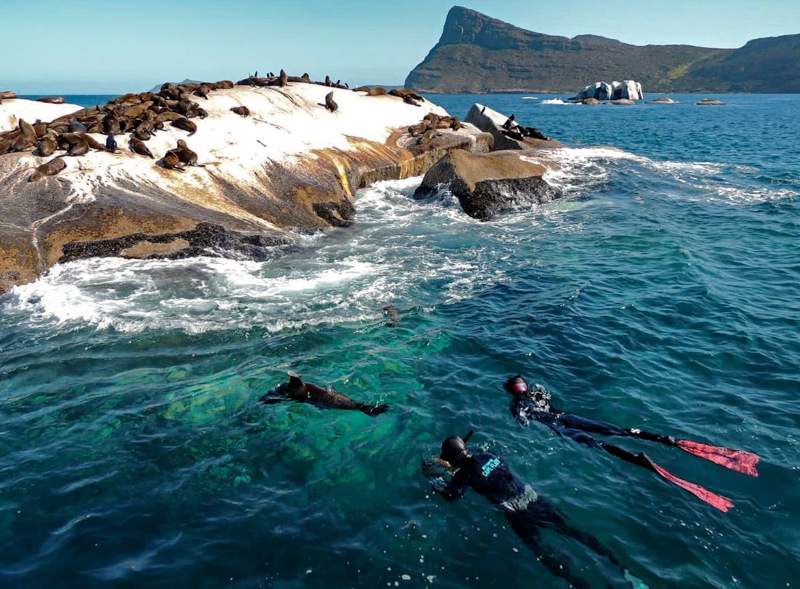 exploring Cape Town's marine life